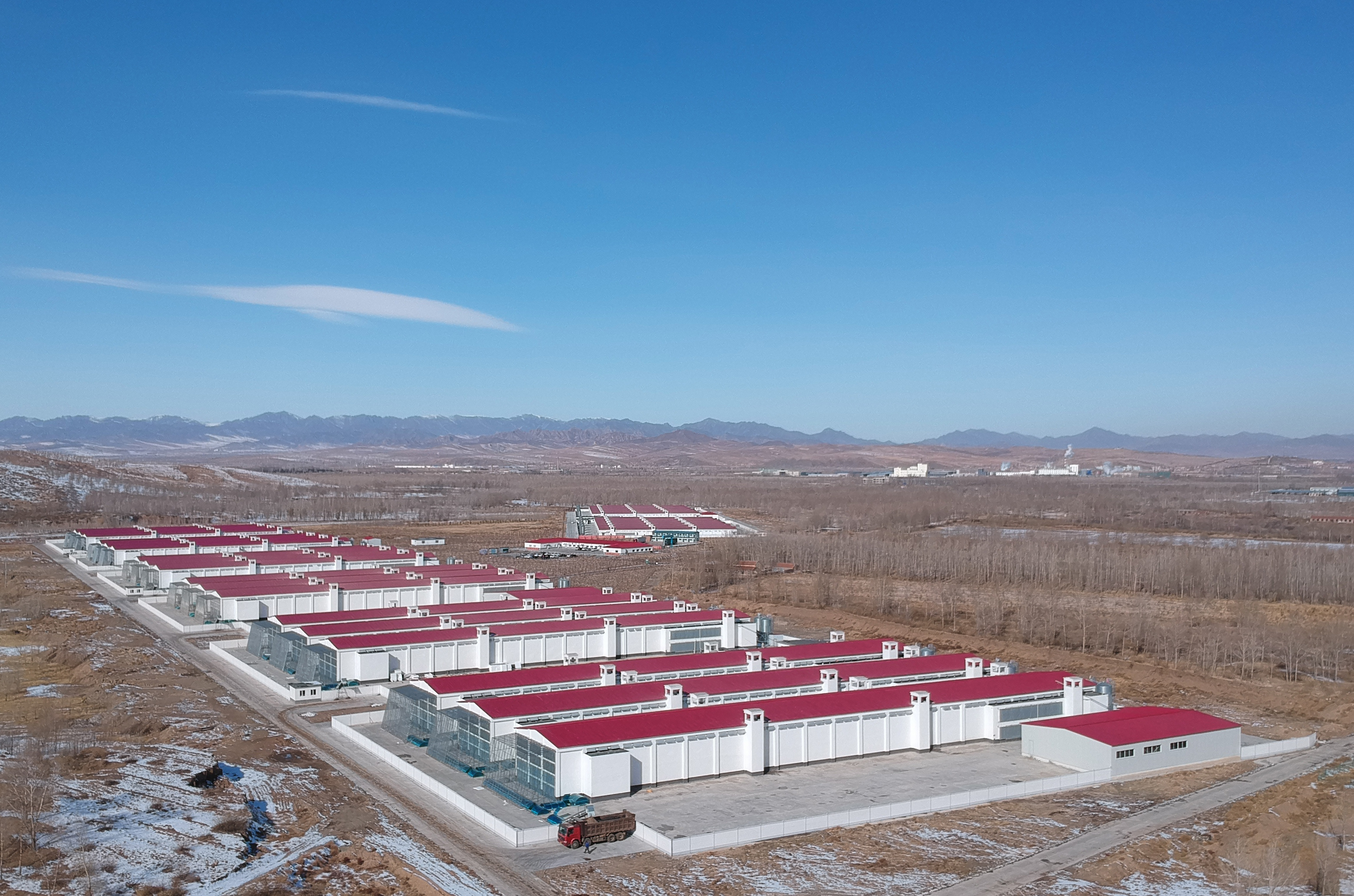 内蒙古林西240萬蛋雞項目