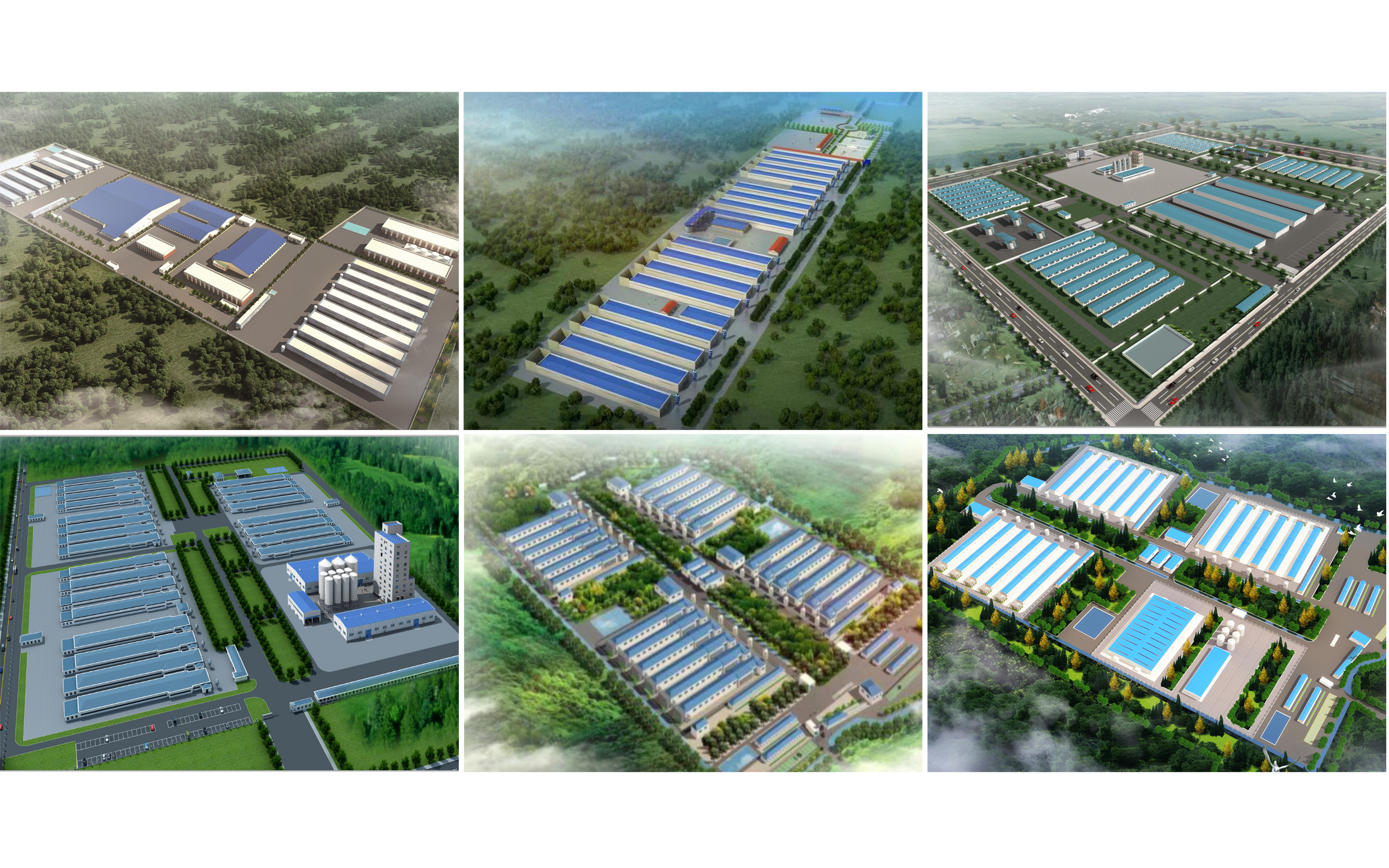 北京峪口400萬套種雞項目