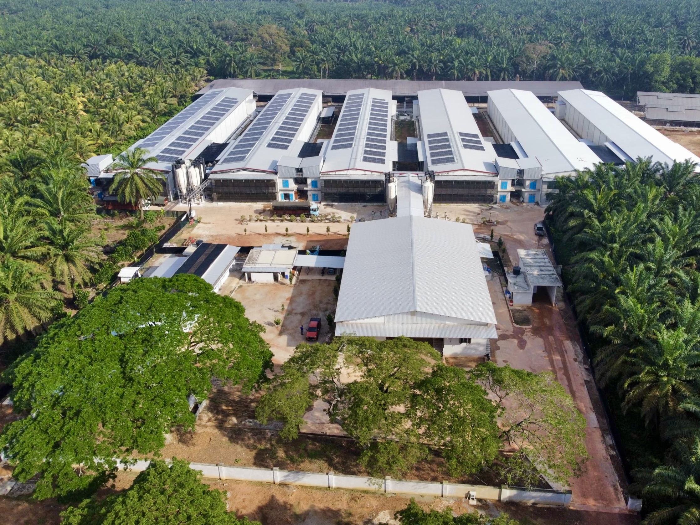 馬來西亞潮成600萬蛋雞項目