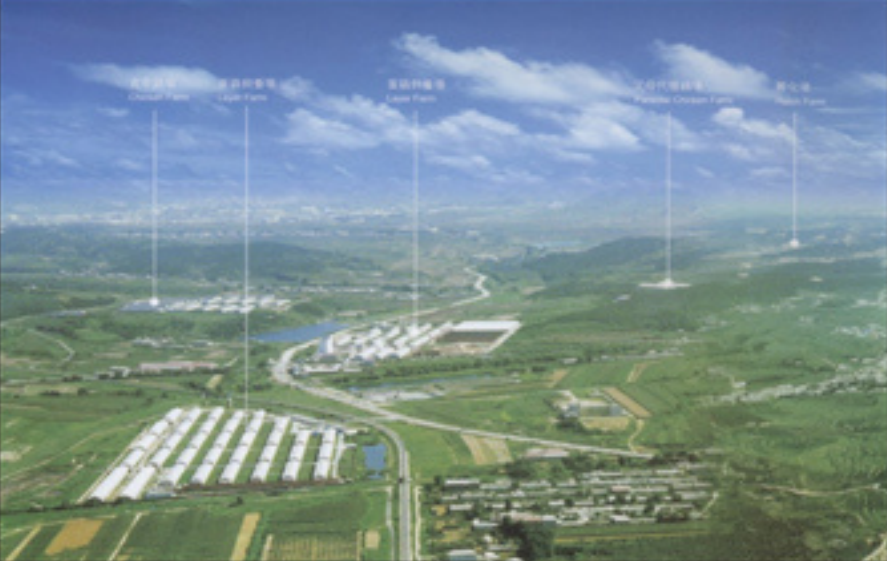 韓偉集團200萬蛋雞飼養成套自動化工程