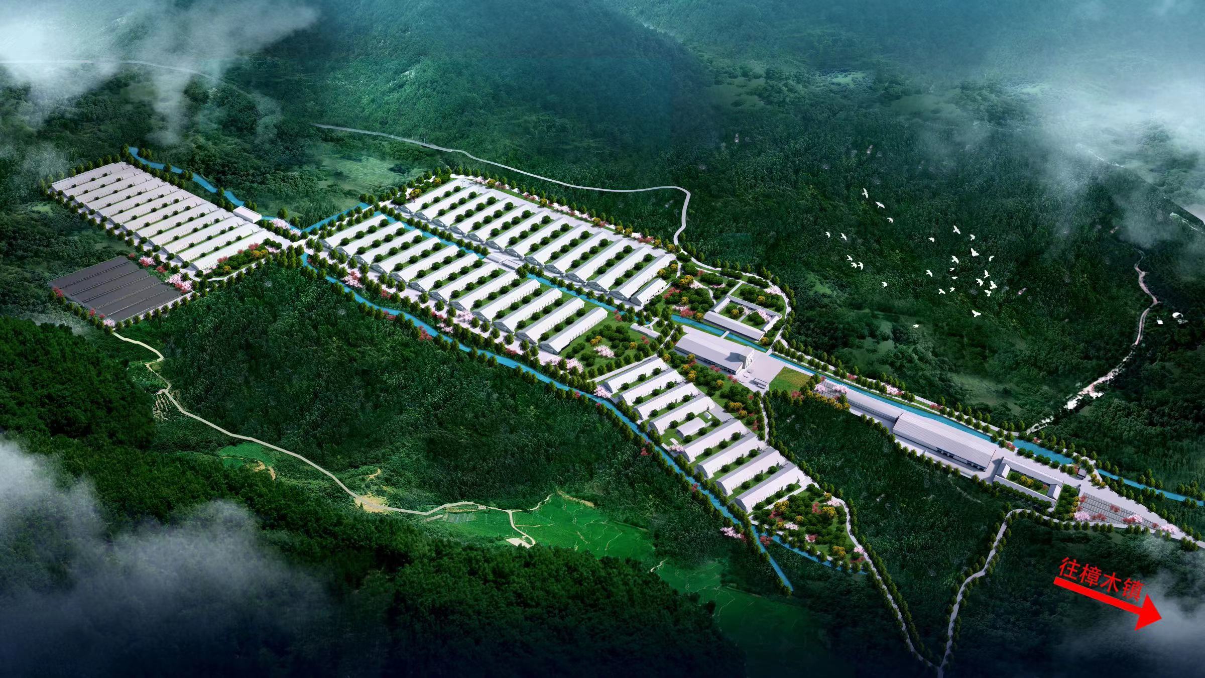 廣西200萬蛋雞項目