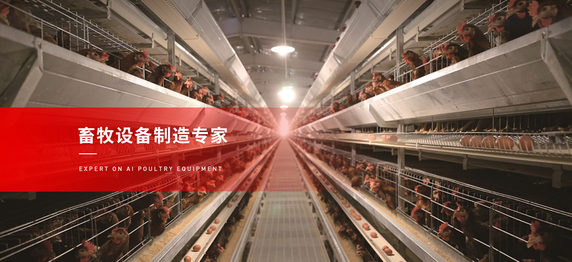 創造精品 · 服務全球