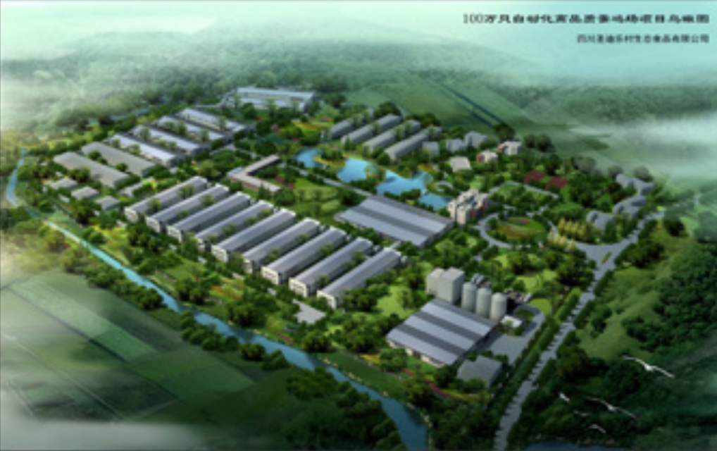 聖迪樂蛋雞飼養成套自動化系統工程